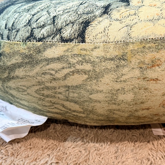 Chicken Pillow Embellished John Derian From Target 13in x 7 1/2in x 14in - Picture 3 of 4